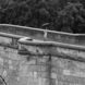 Histoire du canton de Fribourg