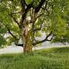 Paysages Romand