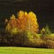 Paysage Automne-Hiver